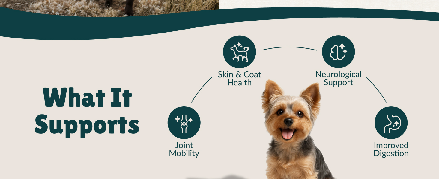 what it supports skin &amp; coat, mobility, joints