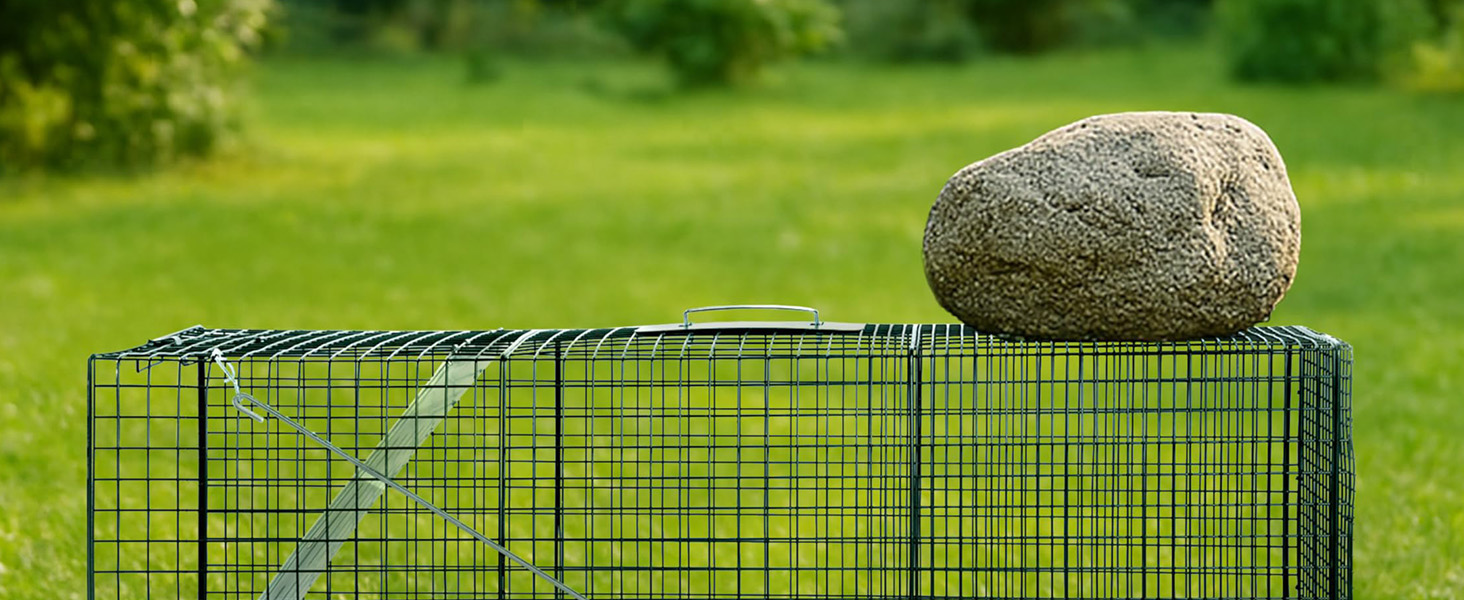 Wire animal trap on grassy field with large rock on top under soft sunlight.