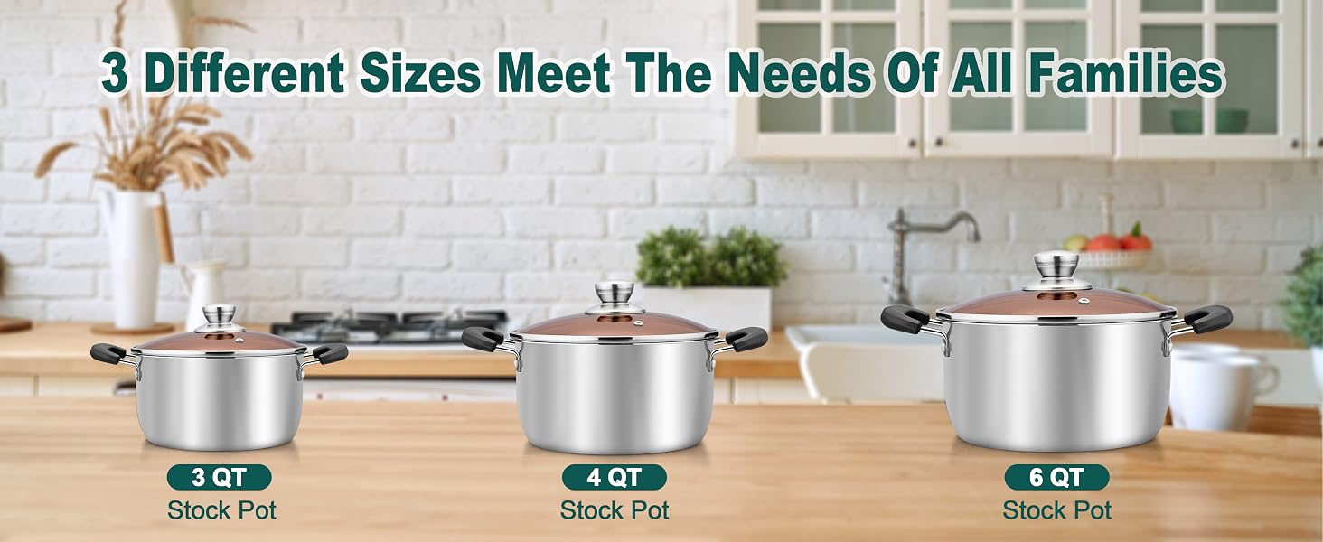 3QT Stock Pot