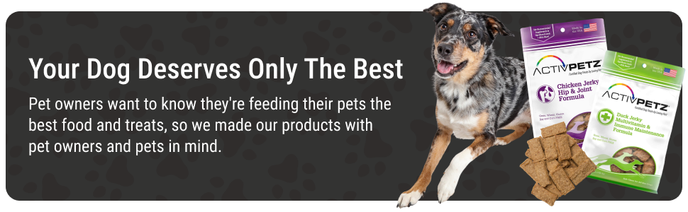 your dog deserves the best