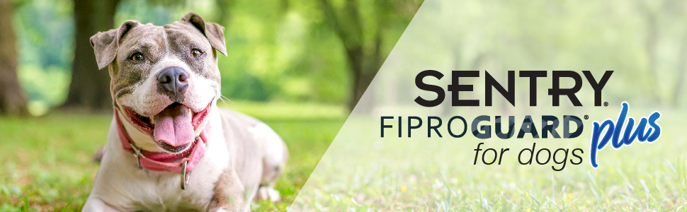 Fiproguard MD Dog