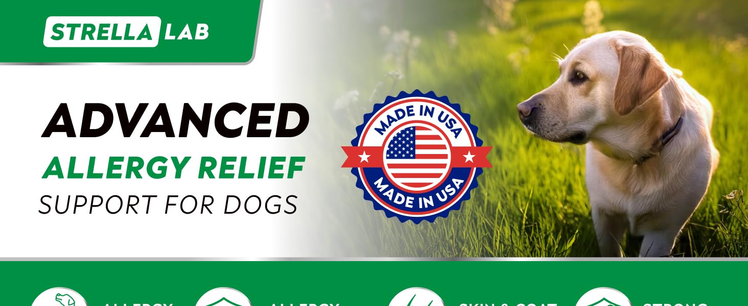 Allergy Relief