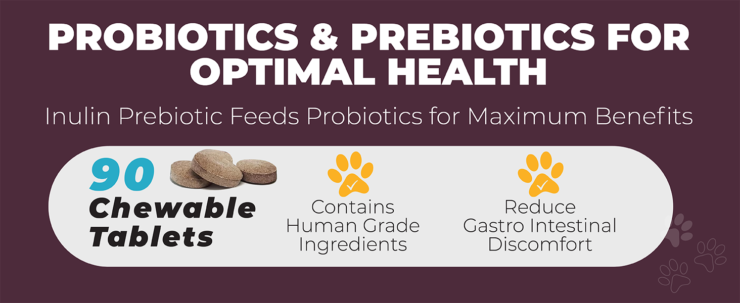 Dog Gut Health Supplement Post Antibiotic Recovery for Dogs