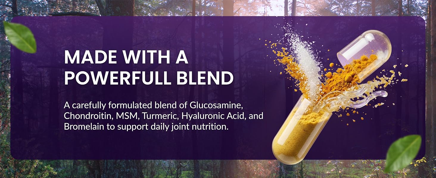 Ingredient focused graphic showing glucosamine chondroitin MSM turmeric and hyaluronic acid