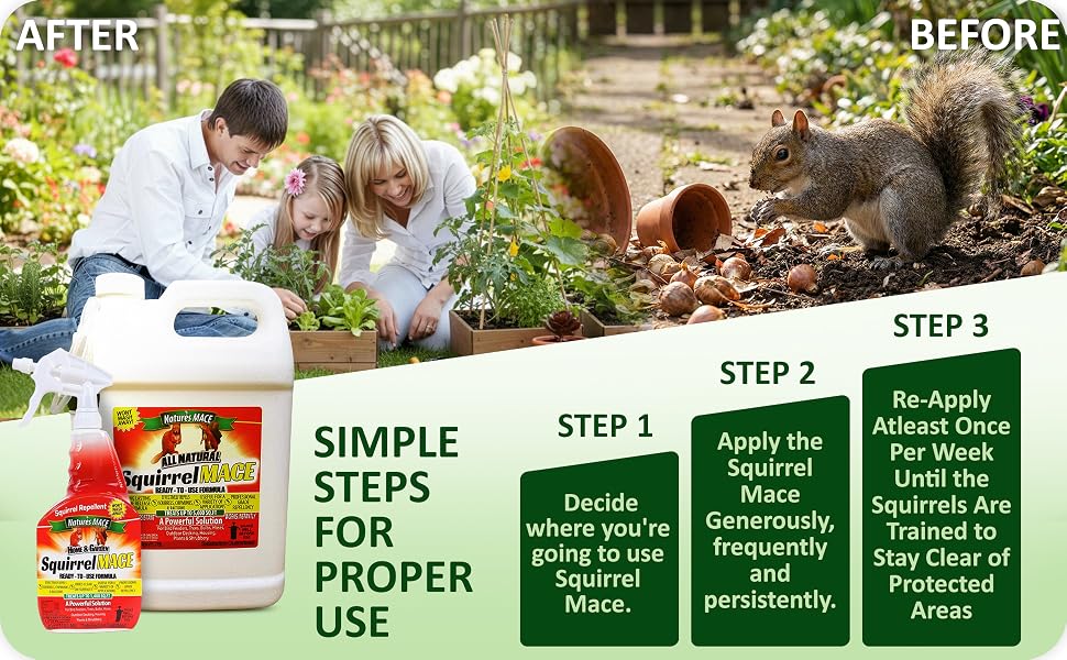 eliminar ratas vanoose neighbors line ground shrub patio pepper gecko granular birds fences natures
