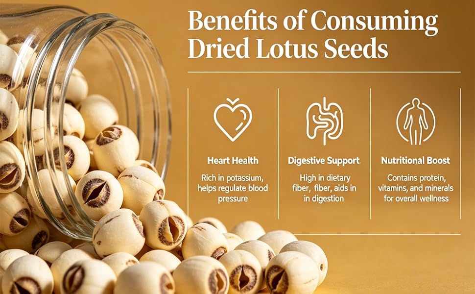 Dried Lotus Seeds, Dried White Lotus Seeds Lian ZI, Rich In Methionine