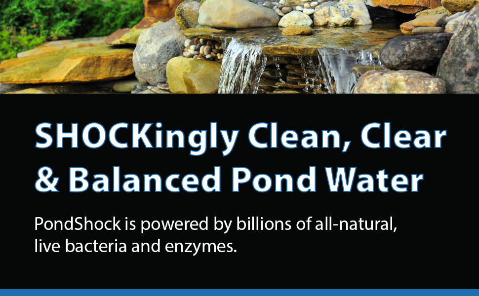 • Pond Shock Ball, pondshock, pond shock for outdoor ponds safe for fish, pond bacteria ball
