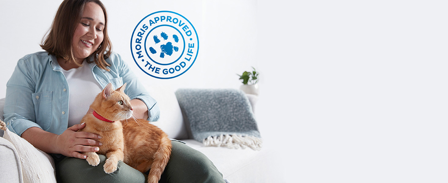 Woman holding cat. Morris approved stamp