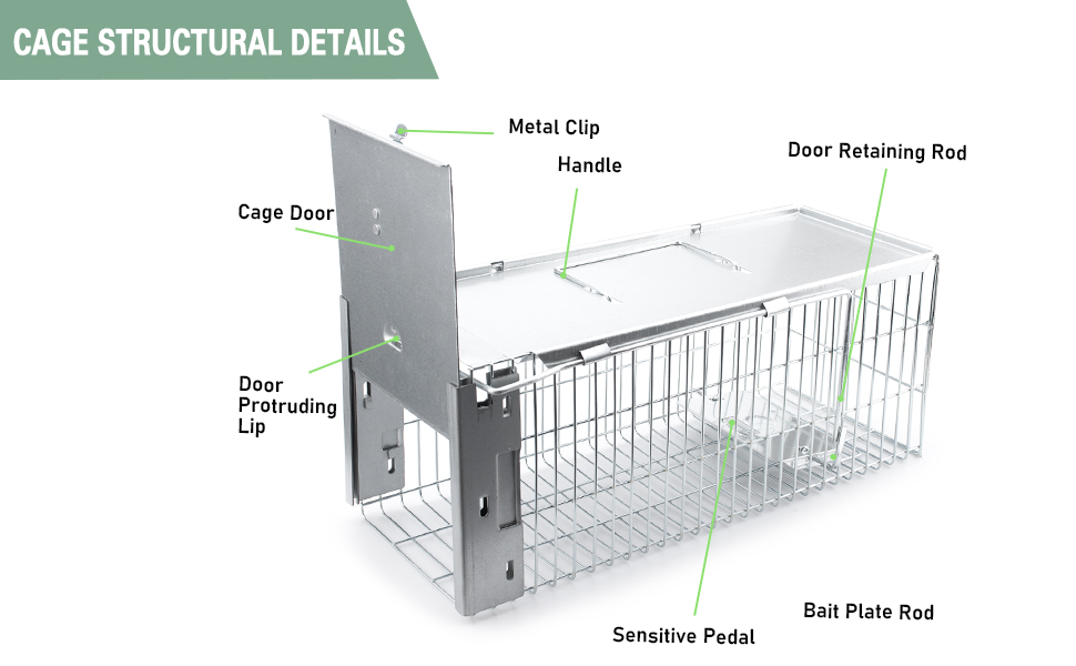 squirrel trap