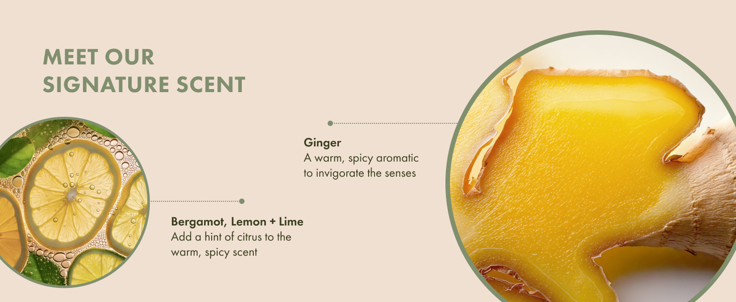 Our signature scent of Ginger, a warm, spicy aromatic, and with notes of Bergamot, Lemon, and Lime.