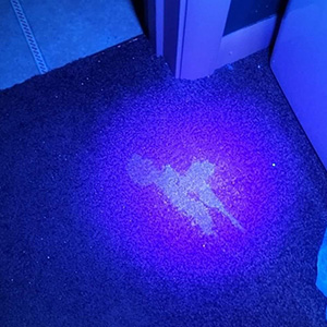 Pet Urine Detection