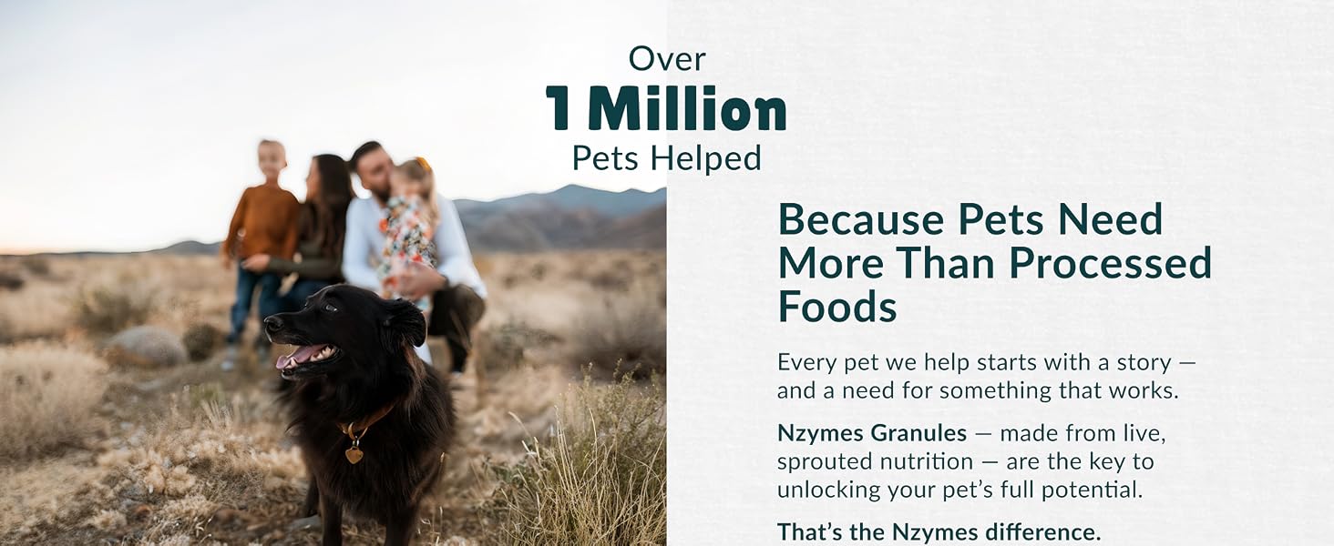 1 million pets helped