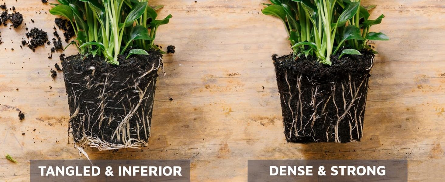 Great Aeration