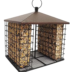 Seed cake and Seed Bar Fly through feeder