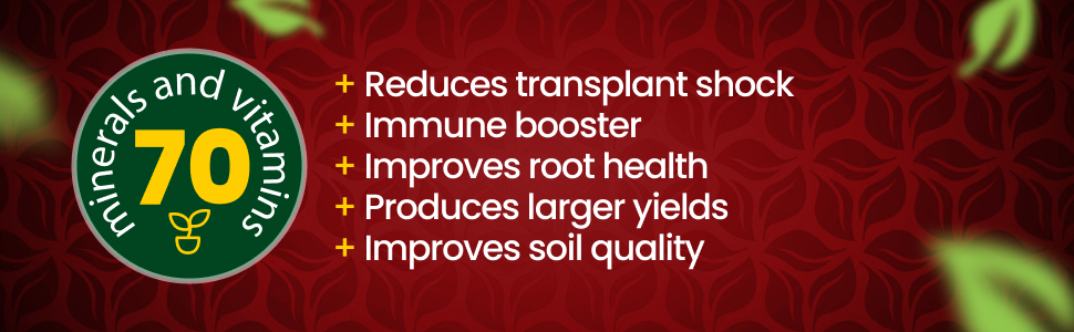 Granular Plus Myco, All-In-One Fertilizer, Organic Root Stimulator Plant Food with Mycorrhizae