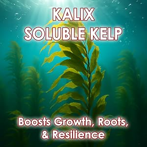 KALIX Kelp boosts root growth, plant strength, and stress tolerance for healthier crops.