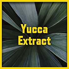 Yucca Extract