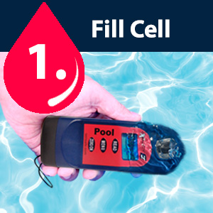 1. Fill Cell