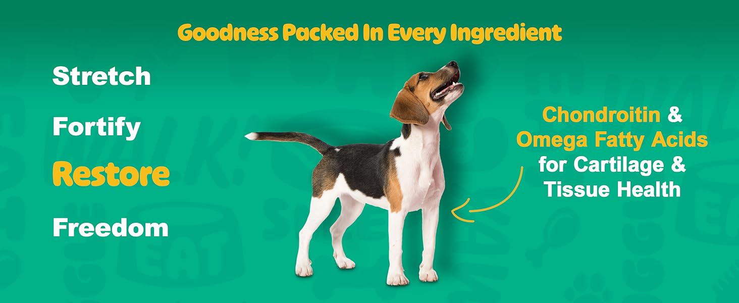 dog joint supplement, hip and joint support, glucosamine for dogs, dog chews, hip mobility