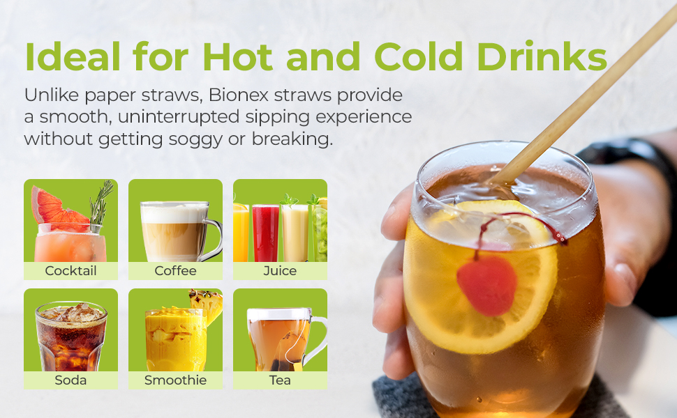 Bionex Sugarcane Straws Wrapped Drinking Straws, Plastic and Paper Straws Alternative