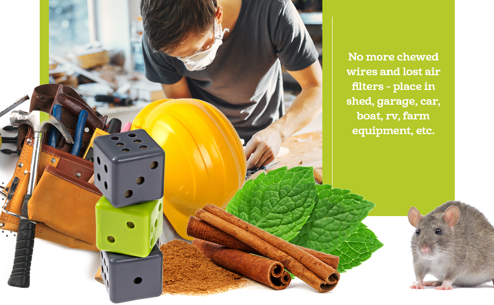 Mice Dice work in cars, shed, garage, car, boats, boat, vehicles, rv, farm equipment, storage units