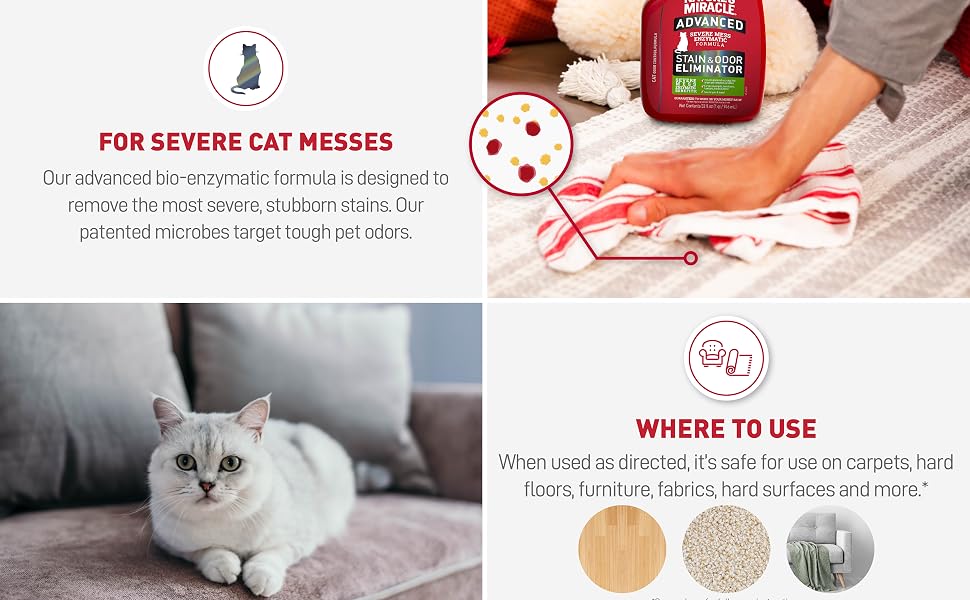 For Severe Cat messes