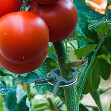 provides support without hindering plants