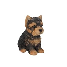 Yorkshire Terrier Puppy_1