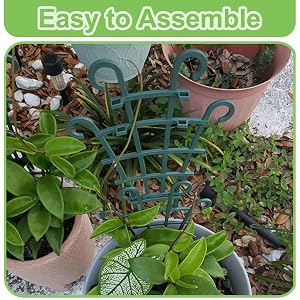 trellis for climbing plants indoor