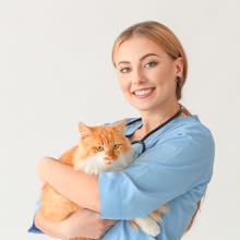 Vet with cat