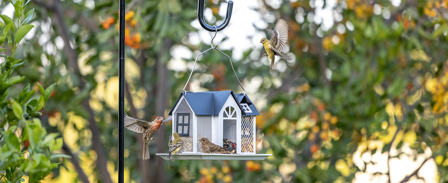 bird feeder