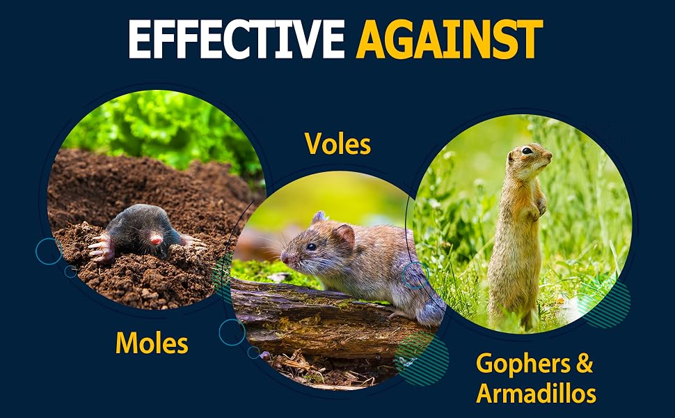 humane way to get rid of moles how to get rid of moles in my yard caster oil vole best diy method