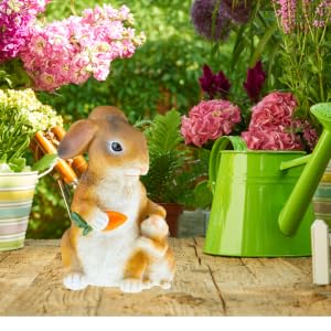 Bring life to your garden!