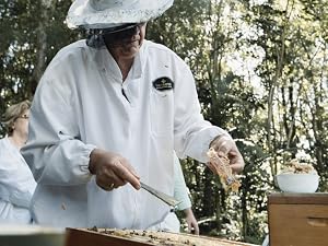 Biosota Australian Manuka Honey with an MGO of 1717