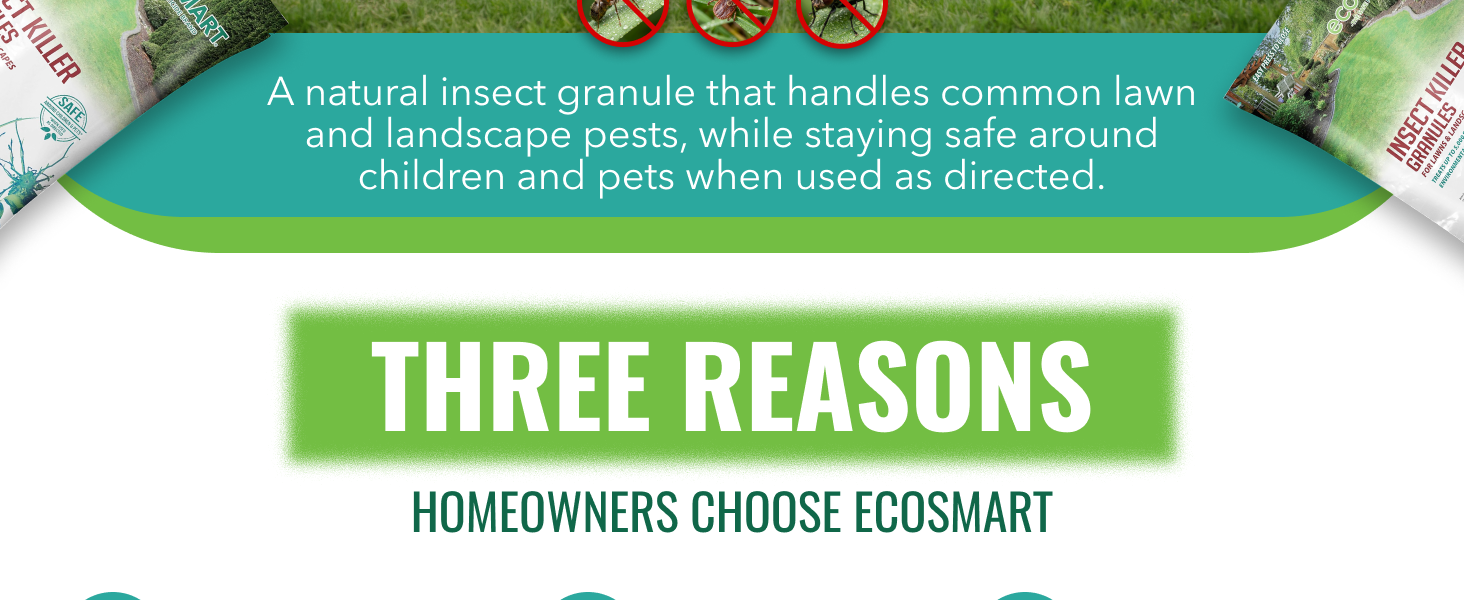 EcoSmart Insect