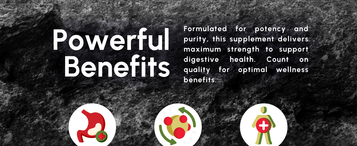 ForestLeaf Organic Apple Cider Vinegar Capsules 1200mg easy to swallow, tasteless, vegetarian