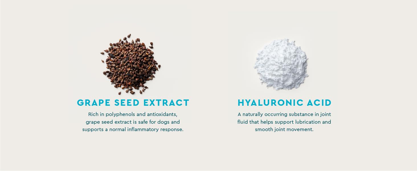 Grape seed extract, hyaluronic acid benefits for dogs
