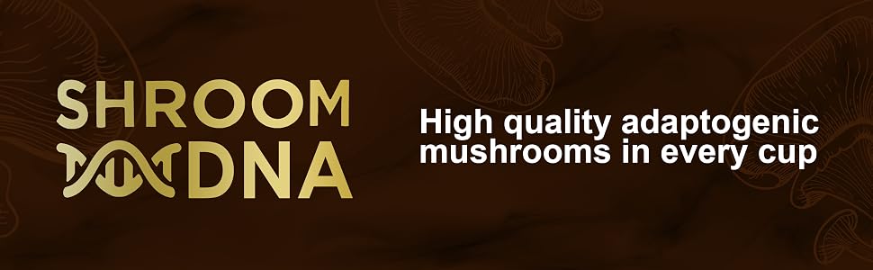 mushroom coffee lion mane