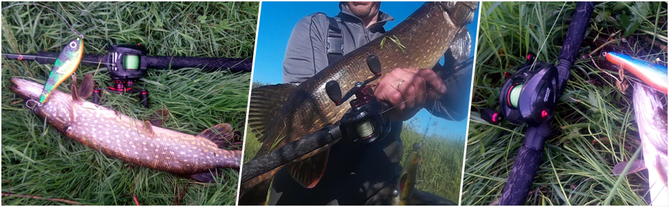 casting reel for big fish