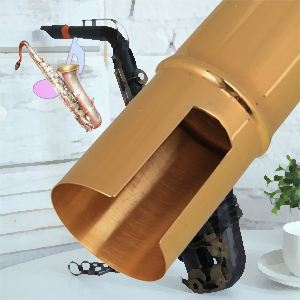 Sax Mouthpiece