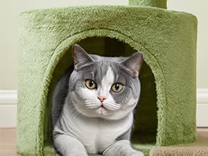 Cat Tree Tower