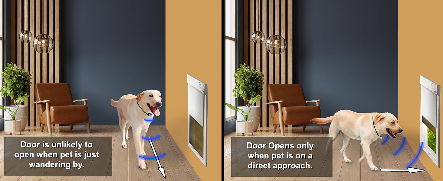 Directional Sensing Opens Only on Direct Approach