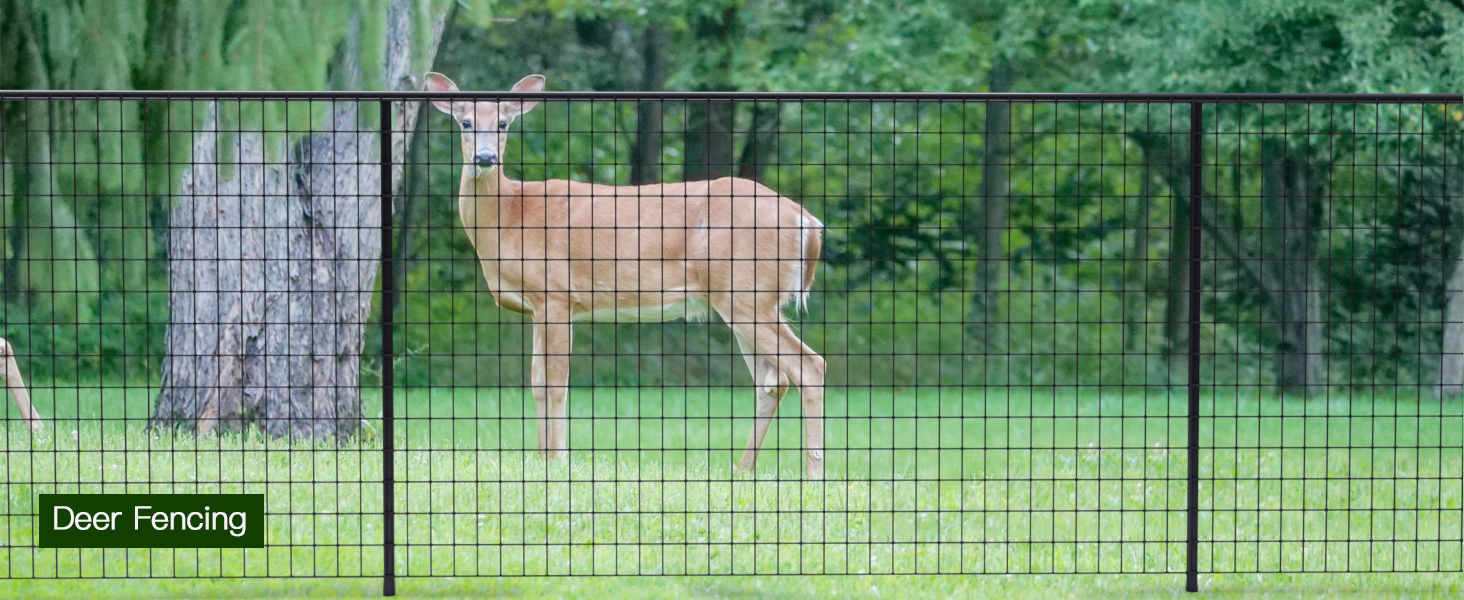 wire fence