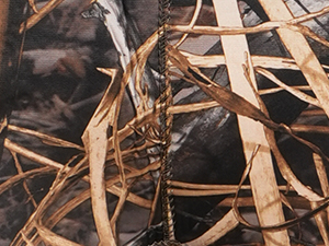 hunting waders