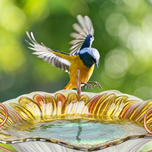 outdoor bird bath, bird baths for outdoors, bird bath bowl, bird bath with stake