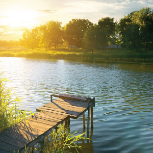 herbicida bottle penetrate penetrating surfactants herbacide aquacide lake lakes adhesivo broad