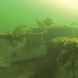 porcupine fish attractor, fish structure, pond structure for fish, artificial fish habitat,
