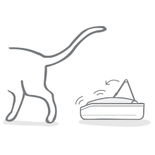 The lid closes onto the sealed bowl when your pet walks away