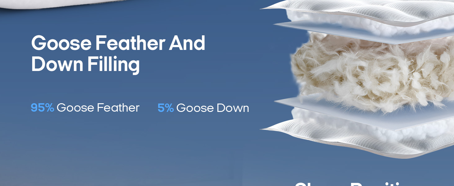Goose Feathers and Down Pillows