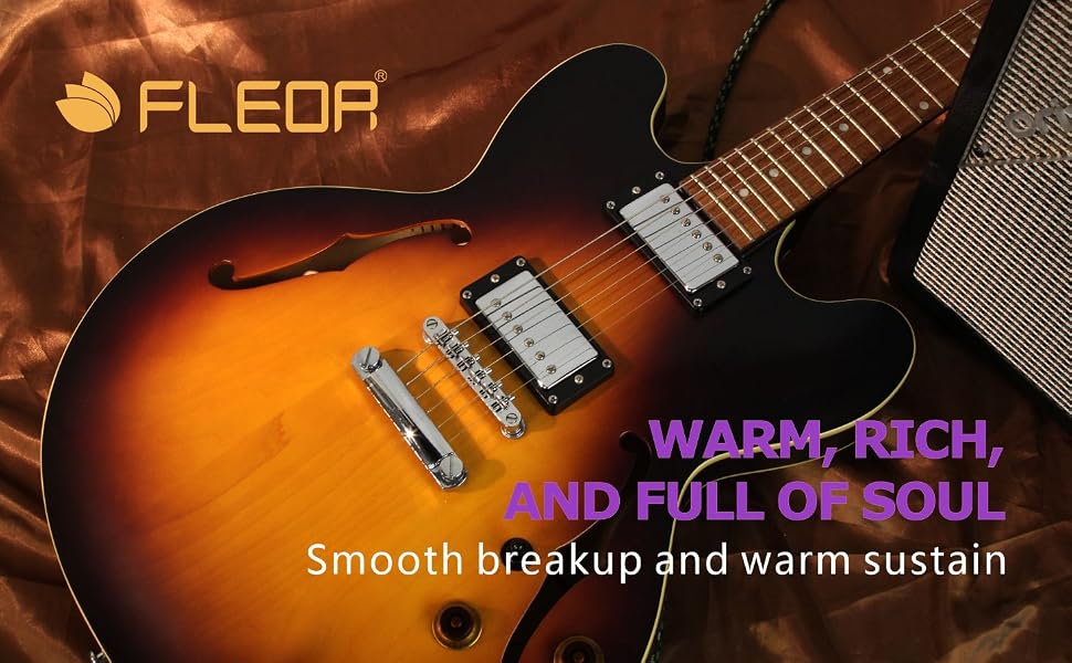 FLEOR Humbucker